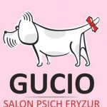 Szukasz Fryzjera Dla Psa A Może Groomera Dla Kota Sprawdź Na Woofy